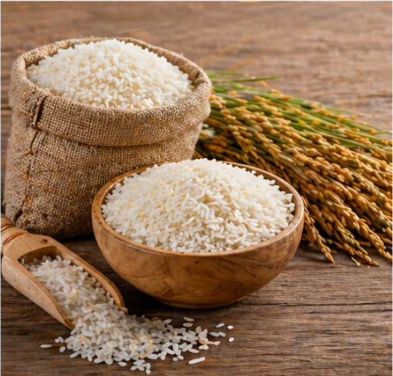 basmati rice export India, non-basmati rice supplier, rice export quality India